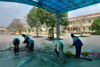 Hoạt động trải nghiệm trang trí trường lớp chuẩn bị đón tết Bính Ngọ 2026