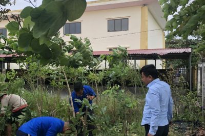 Trường THCS Yên Bình, Đoàn thanh niên xã bàn giao cây trong vườn ươm cho chi bộ thôn An Hạ – Yên Bình