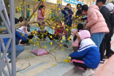 HOẠT ĐỘNG TRẢI NGHIỆM- TRANG TRÍ TẾT