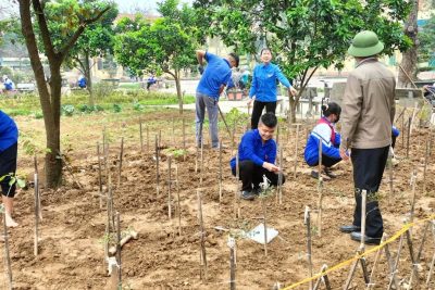 Chi Đoàn thanh niên trường THCS Yên Bình cùng với Đoàn thanh niên xã trồng cây tại vườn ươm 11/3/2024